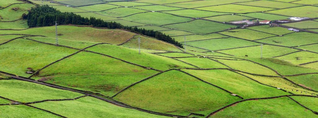 Aerial view of green pastures divided by basalt stone walls on Terceira Island, Azores&mdash;typical rural landscape in the island&rsquo;s interior